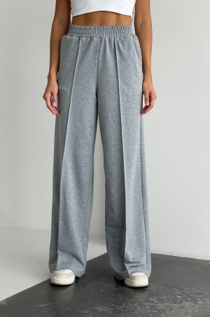 Спортивні брюки сірі 