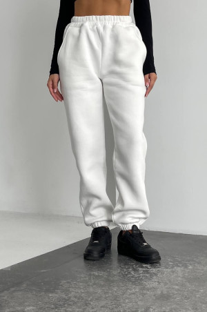 Джогери молочні